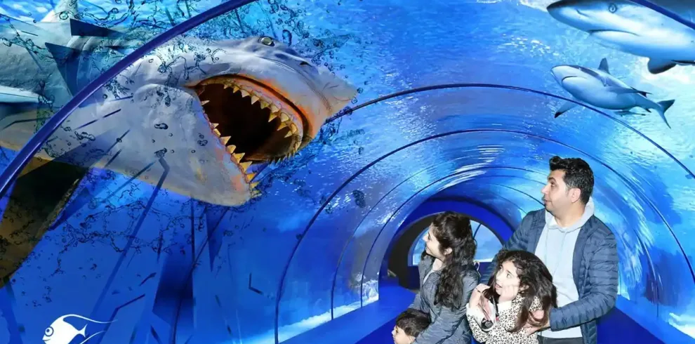 Old Town + Submarine Nemo